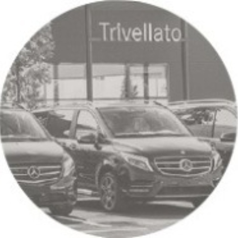 Trivellato Veicoli Industriali